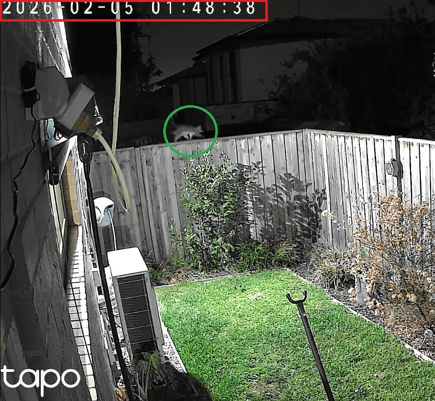 Detection full frame 1